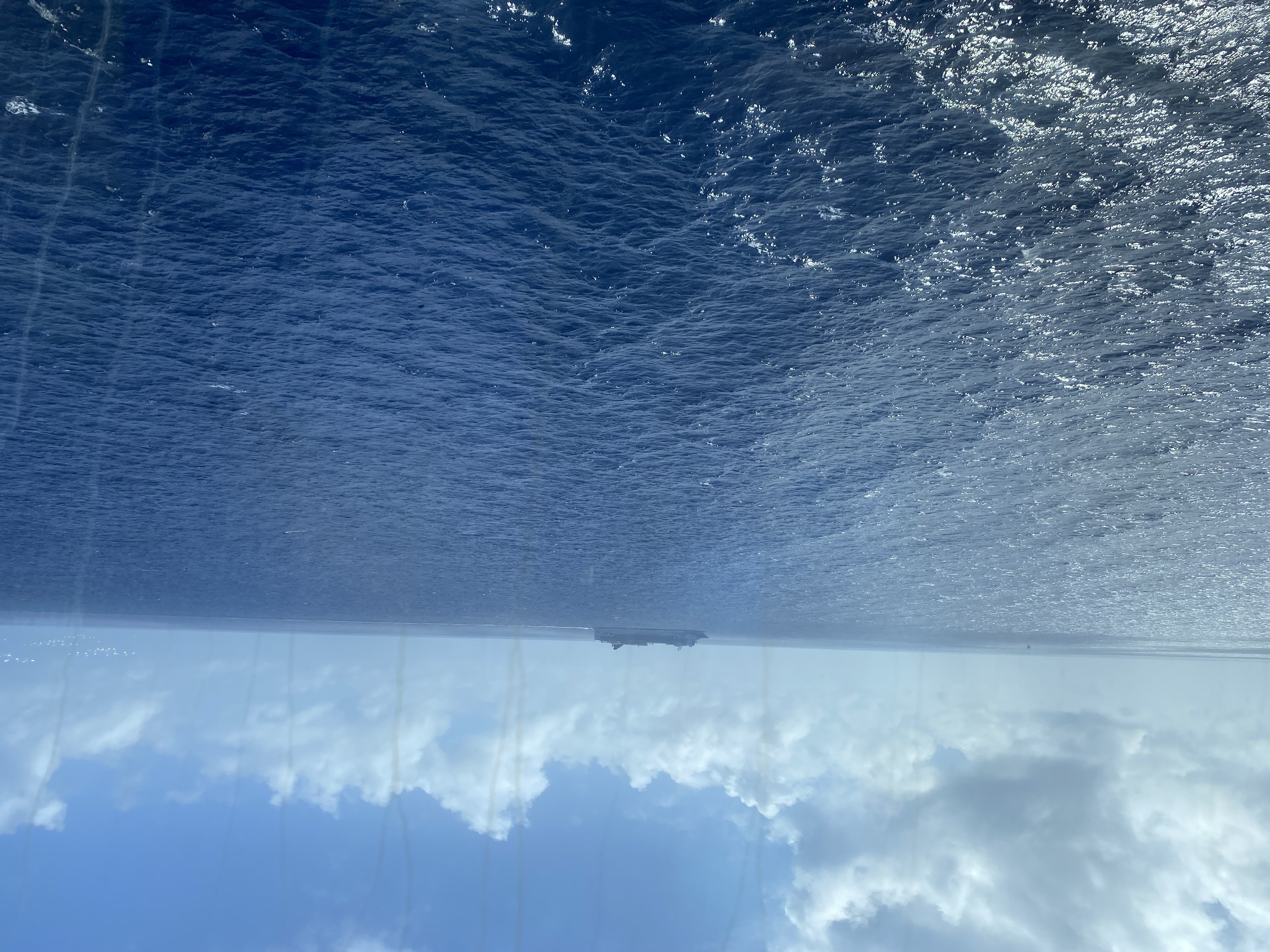 Cruise Brothers logo